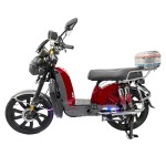 Bilin King, Golden Ox Head Lamp, Front and Rear Oil Dishes, Rear Electroplated Dual Reduction, Metal Trunk, Fully Equipped Ambient Lighting